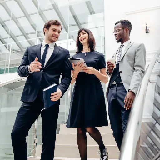 Award in An Introduction to Emotional Intelligence at Work 